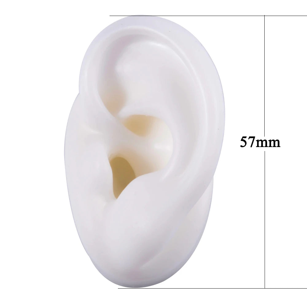 Soft Silicone Ear Piercing & Tattoo Practice Model by HitMyNeed