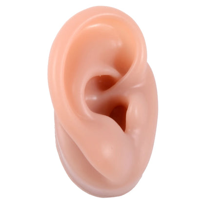 Soft Silicone Ear Piercing & Tattoo Practice Model coffee-right-ear by HitMyNeed