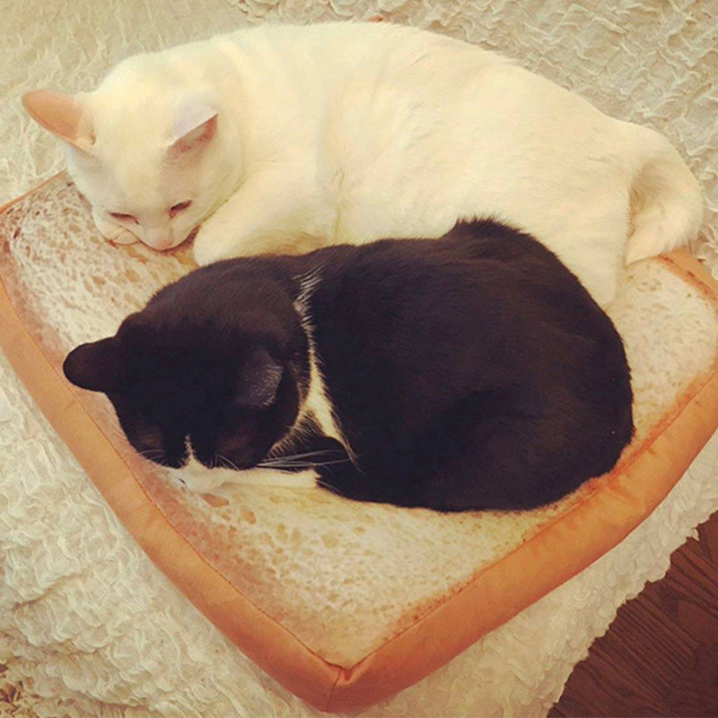 Soft Toast Cat Bed Cushion for Cats and Small Dogs by HitMyNeed