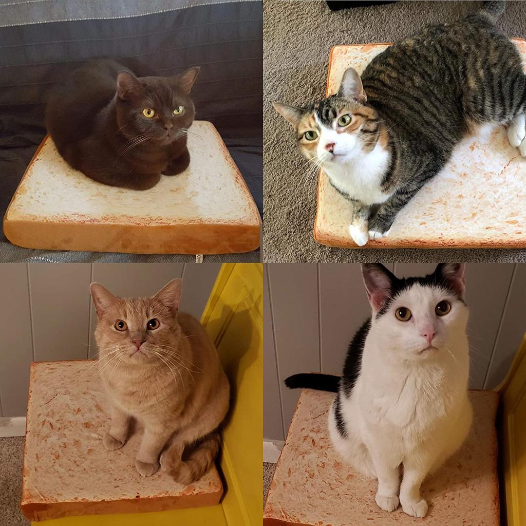 Soft Toast Cat Bed Cushion for Cats and Small Dogs by HitMyNeed