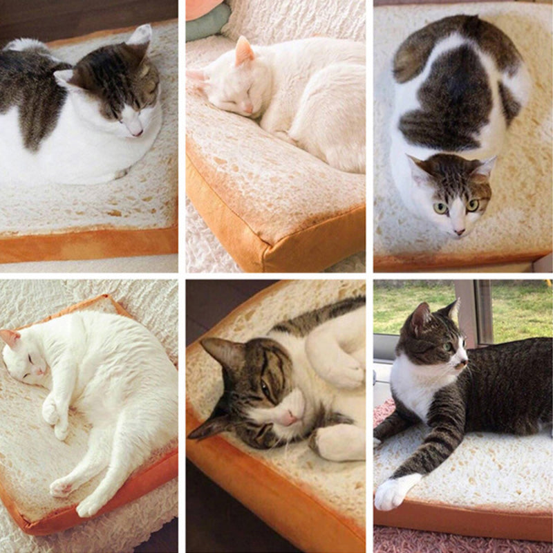 Soft Toast Cat Bed Cushion for Cats and Small Dogs by HitMyNeed