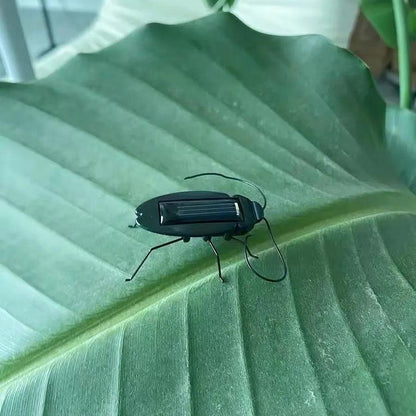 Solar Powered Crawling Cockroach STEM Toy by HitMyNeed