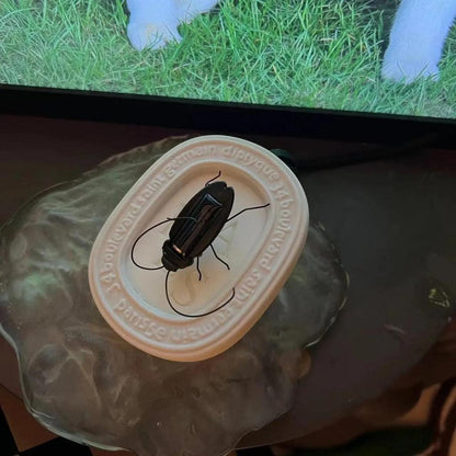 Solar Powered Crawling Cockroach STEM Toy by HitMyNeed