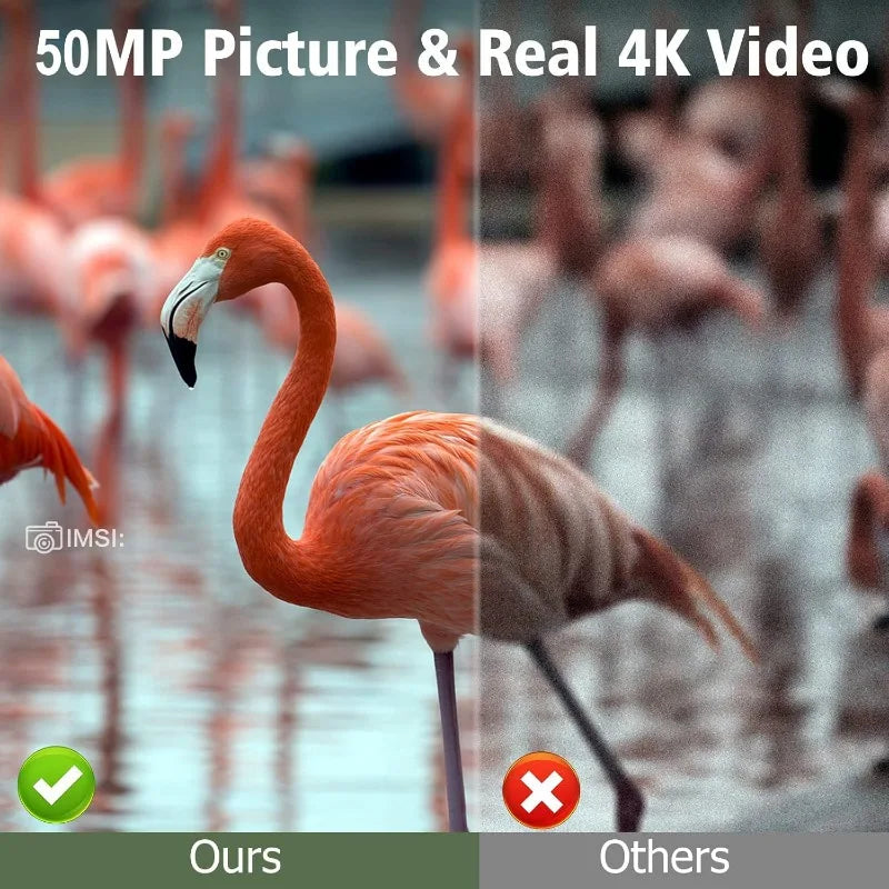 Solar Wildlife Trail Camera 50MP 4K with Night Vision by HitMyNeed