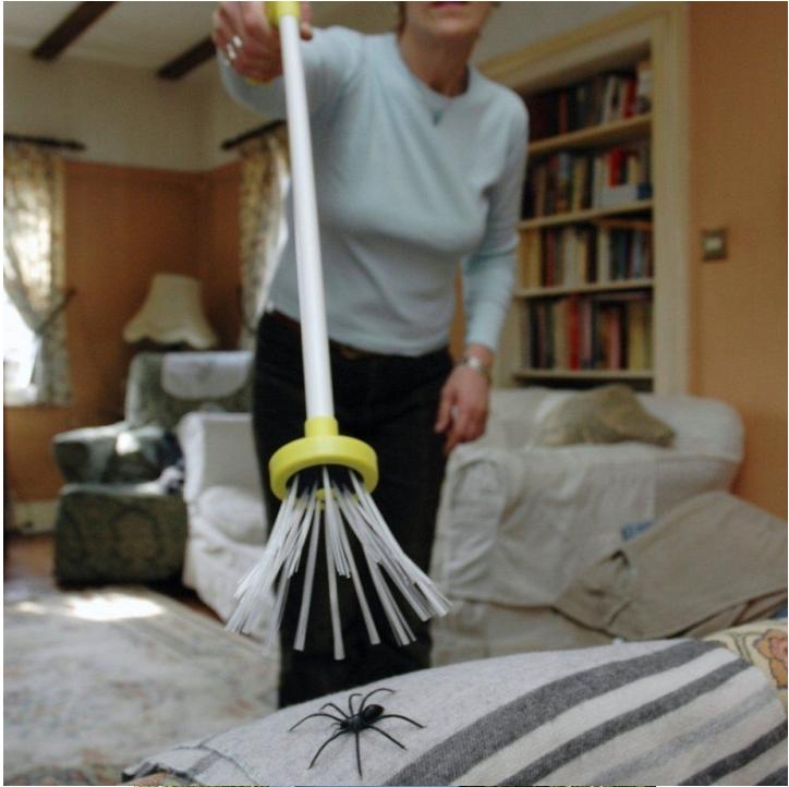 Spider Grabber Humane Insect Catcher Tool by HitMyNeed