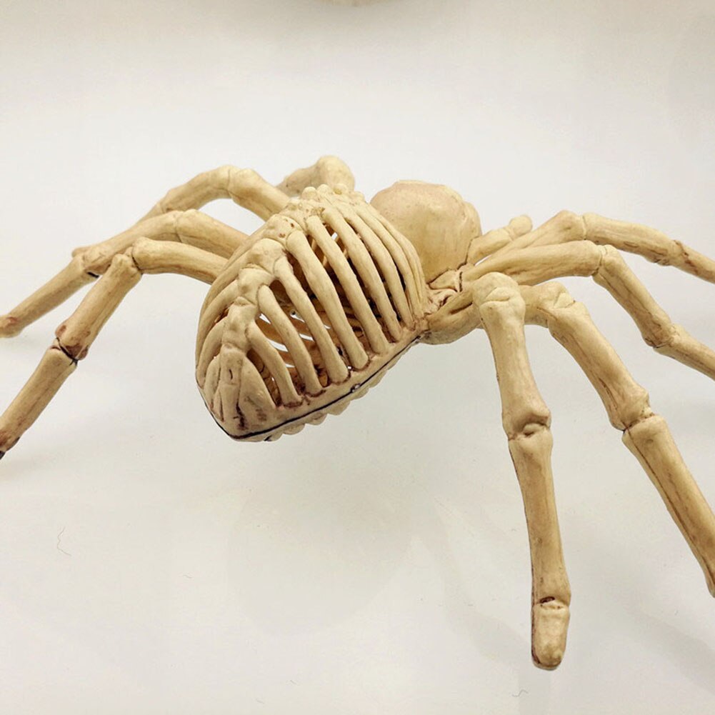 Spider Skeleton Halloween Tabletop Decoration by HitMyNeed