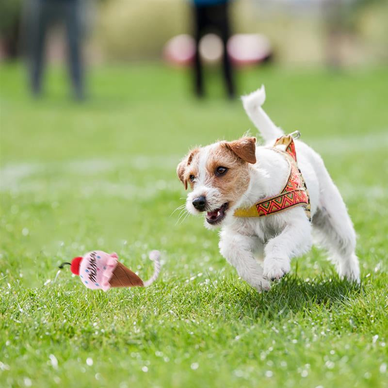 Squeaky Plush Ice Cream Dog Toy with Rope by HitMyNeed
