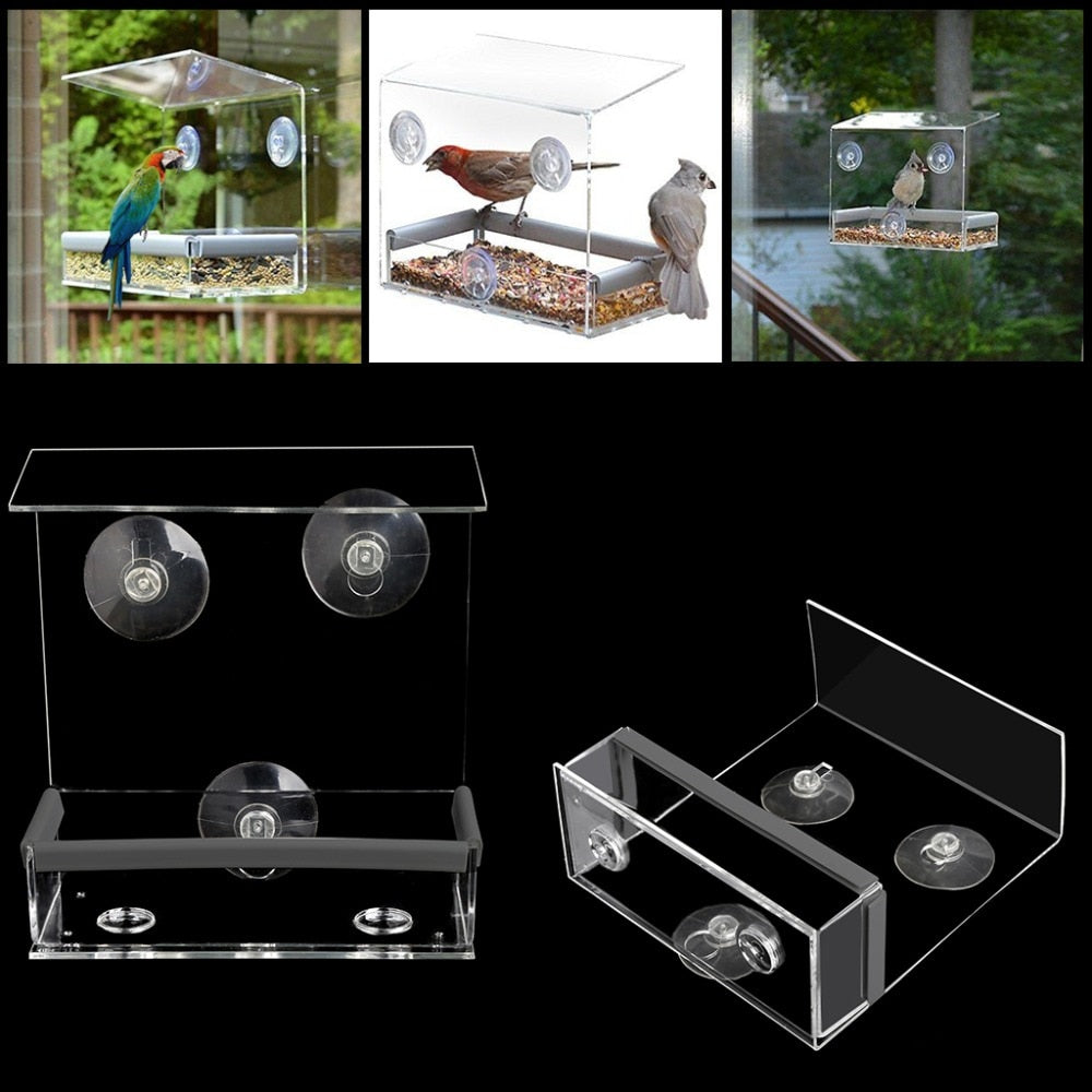 Squirrel Proof Window Bird Feeder with Suction Cups by HitMyNeed