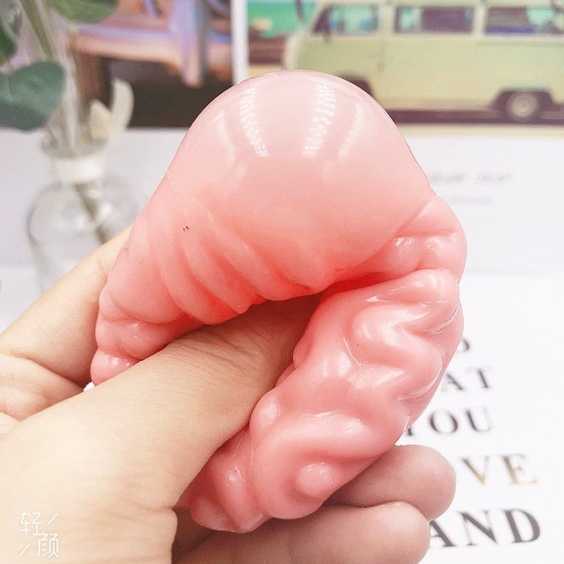 Squishy Brain Silicone Sensory Stress Toy by HitMyNeed