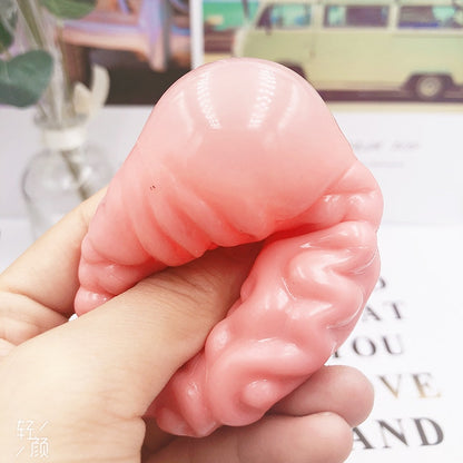 Squishy Brain Silicone Sensory Stress Toy by HitMyNeed