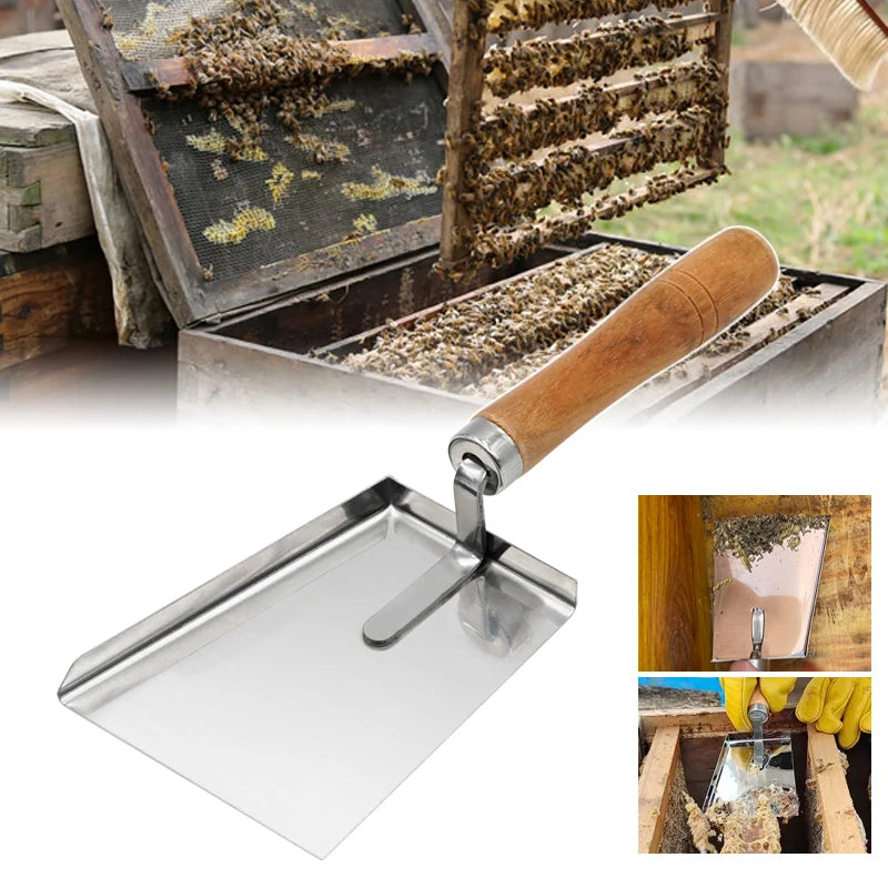 Stainless Steel Beekeeping Pollen Shovel & Hive Scraper by HitMyNeed