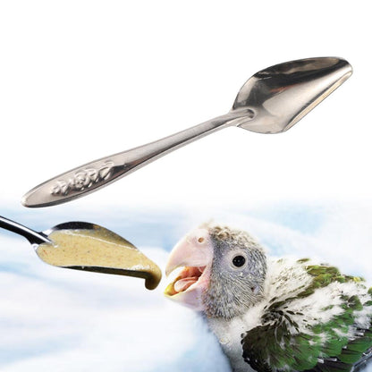 Stainless Steel Bird Feeding Spoons Set (5pcs) by HitMyNeed