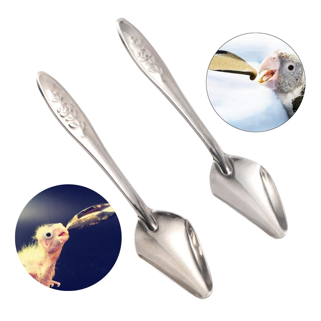 Stainless Steel Bird Feeding Spoons Set (5pcs) by HitMyNeed