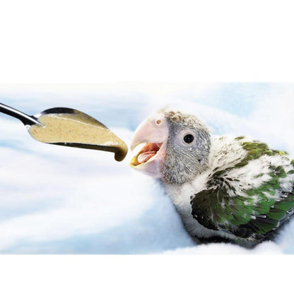 Stainless Steel Bird Feeding Spoons Set (5pcs) by HitMyNeed
