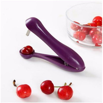 Stainless Steel Cherry and Olive Pitting Tool by HitMyNeed