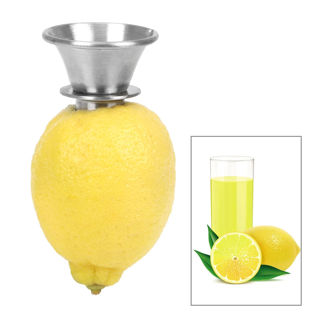Stainless Steel Citrus Hand Juicer with Pourer by HitMyNeed