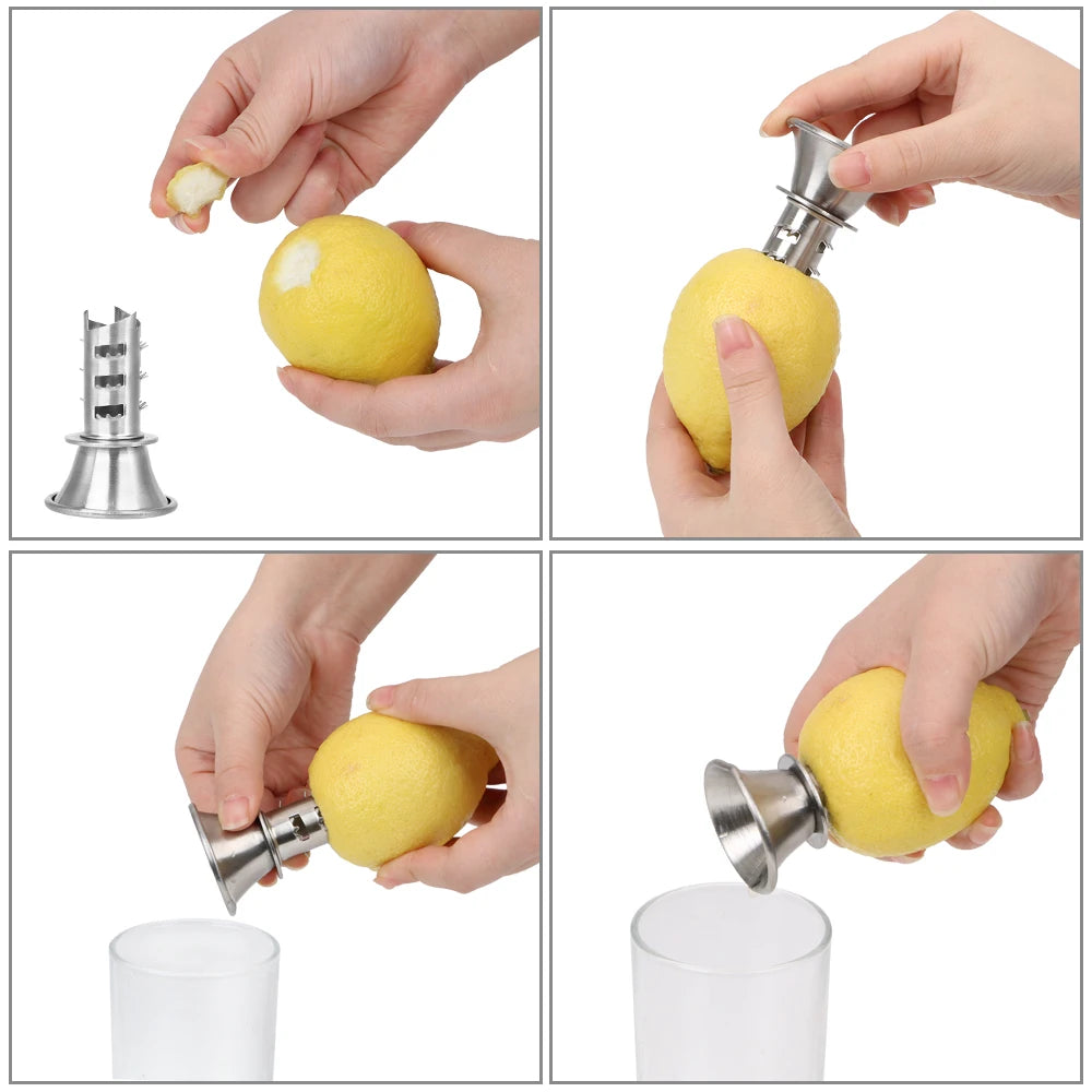 Stainless Steel Citrus Hand Juicer with Pourer by HitMyNeed