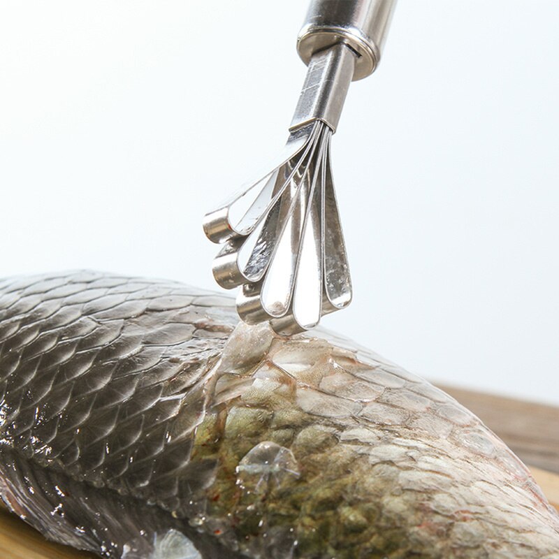 Stainless Steel Coconut Meat Shaver & Scraper by HitMyNeed
