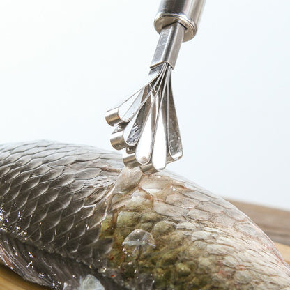 Stainless Steel Coconut Meat Shaver & Scraper by HitMyNeed