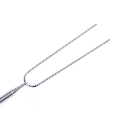 Stainless Steel Extendable Toasting Fork by HitMyNeed