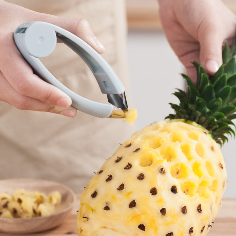 Stainless Steel Fruit Eye & Seed Remover Set by HitMyNeed