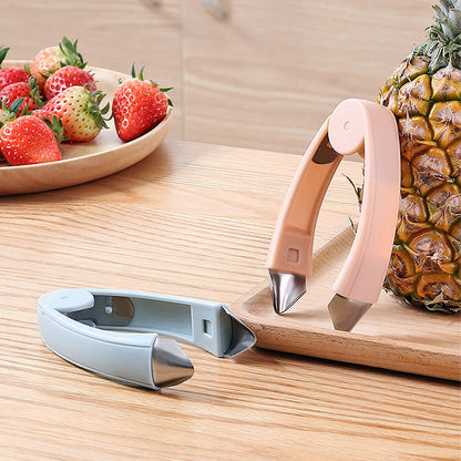 Stainless Steel Fruit Eye & Seed Remover Set by HitMyNeed