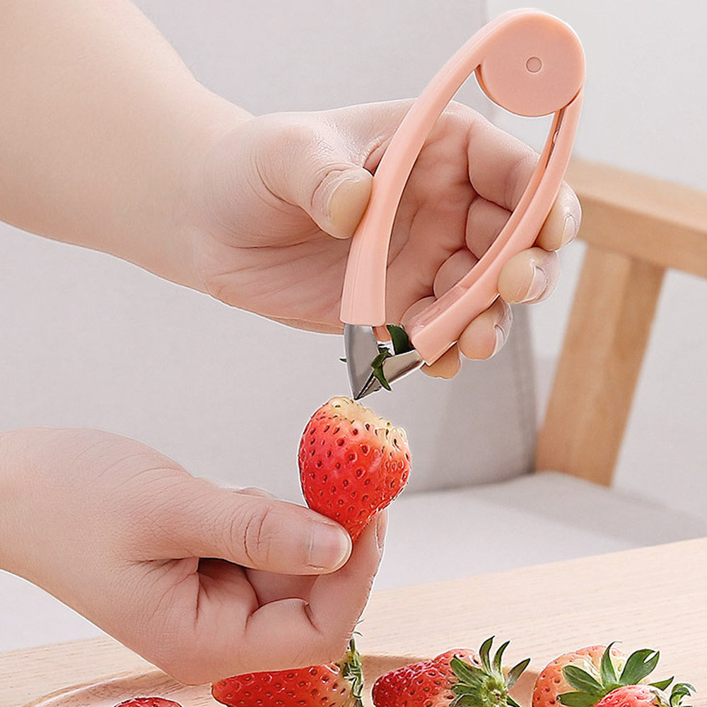 Stainless Steel Fruit Eye & Seed Remover Set by HitMyNeed