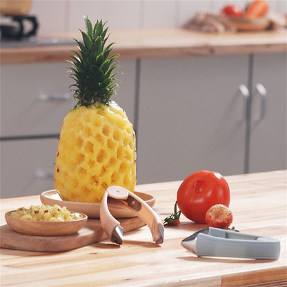 Stainless Steel Fruit Eye & Seed Remover Set by HitMyNeed
