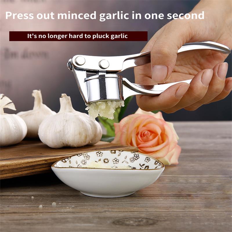 Stainless Steel Garlic and Ginger Masher Tool by HitMyNeed