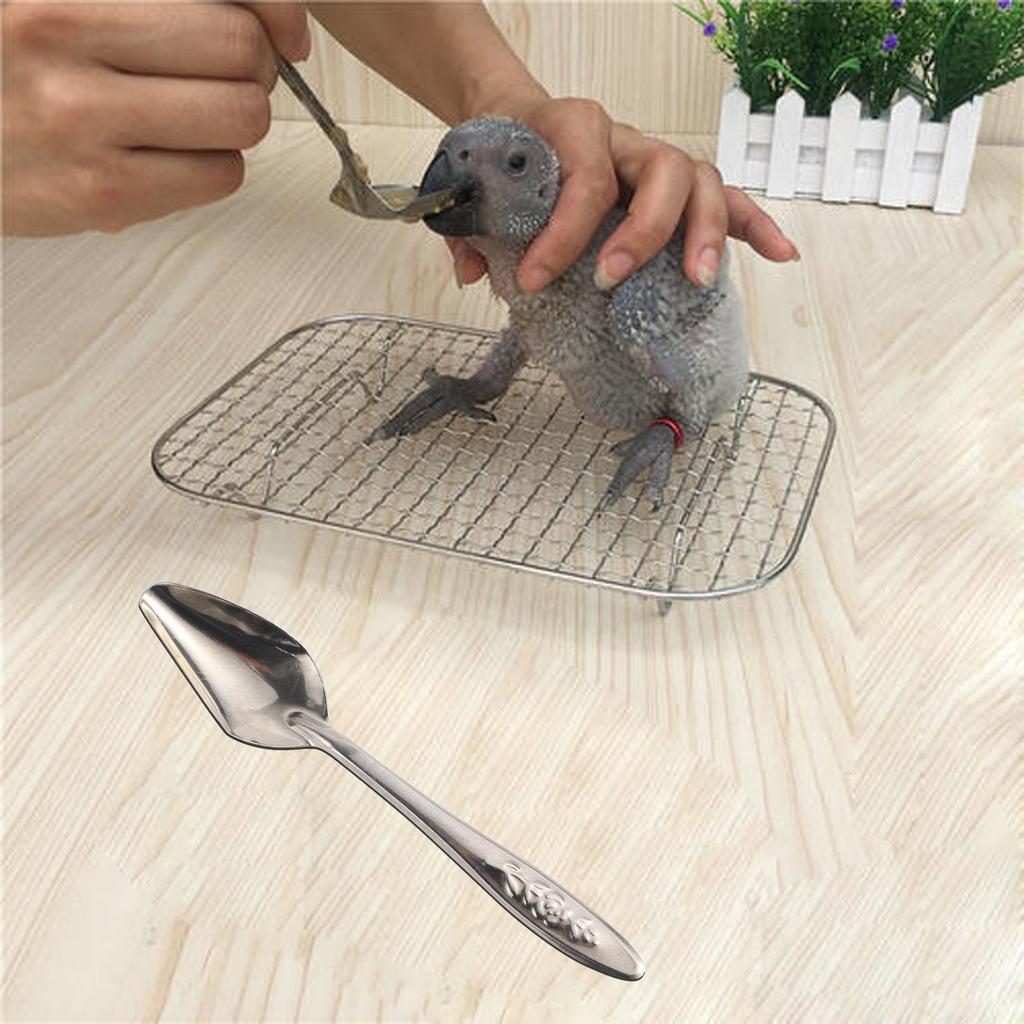Stainless Steel Hatchling Bird Spoon Feeder by HitMyNeed