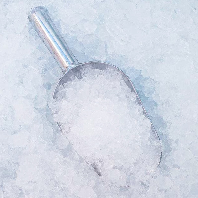 Stainless Steel Ice Scoop Shovel 19cm by HitMyNeed