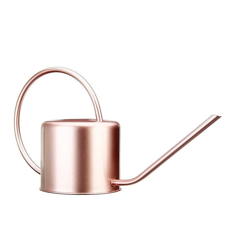 Stainless Steel Indoor Watering Can 1L by HitMyNeed