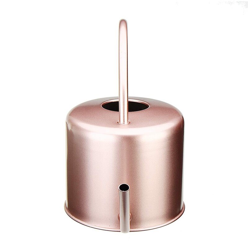 Stainless Steel Indoor Watering Can 1L by HitMyNeed