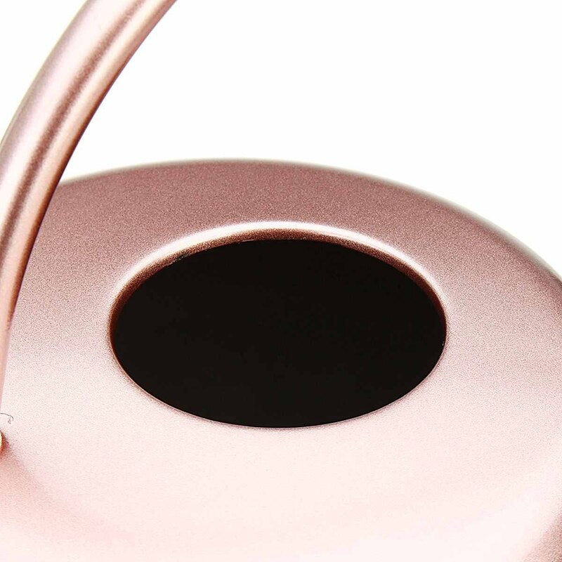 Stainless Steel Indoor Watering Can 1L by HitMyNeed