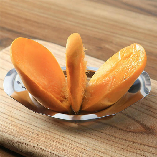 Stainless Steel Mango Cutter Corer Slicer Tool by HitMyNeed
