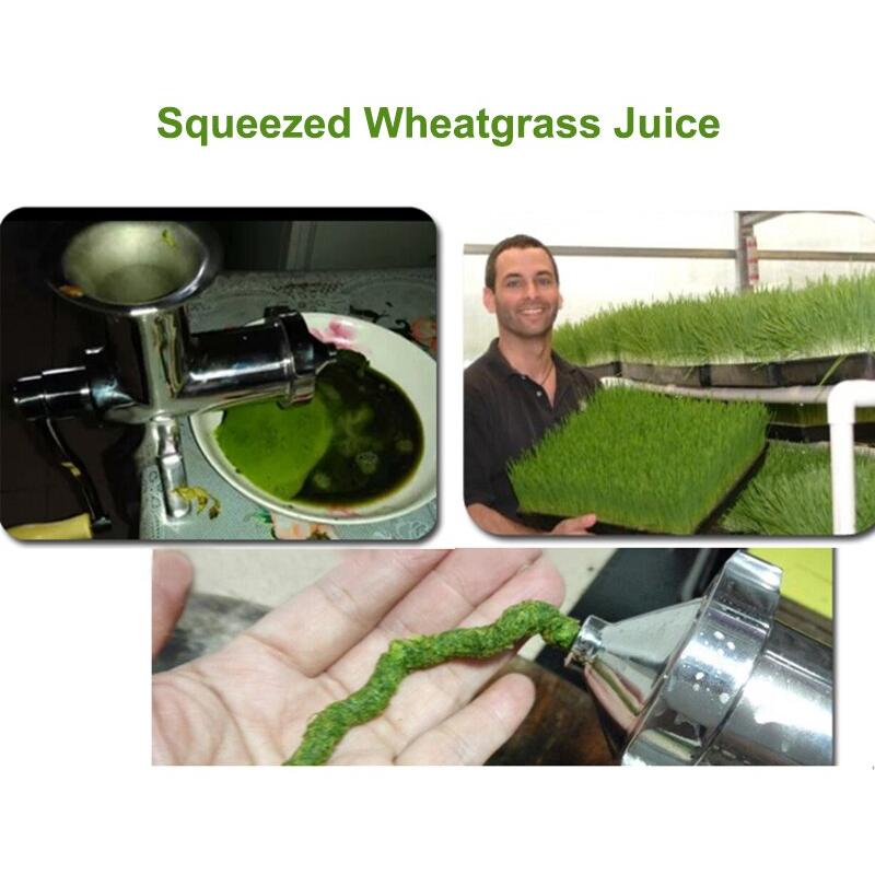 Stainless Steel Manual Wheatgrass Juicer by HitMyNeed