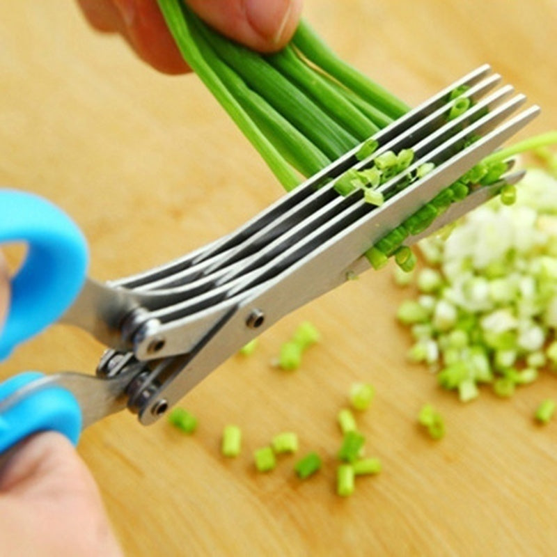 Stainless Steel Multi-Layer Herb & Scallion Scissors 5-layers by HitMyNeed