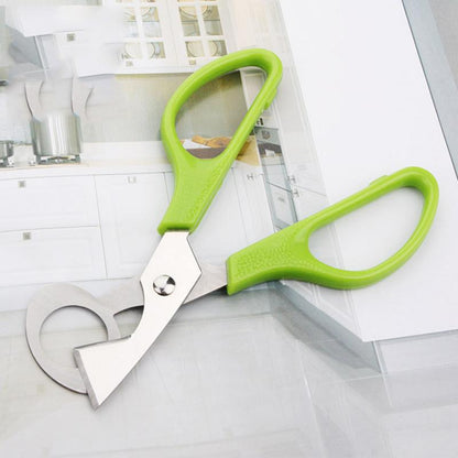 Stainless Steel Quail Egg Cutter Scissors by HitMyNeed