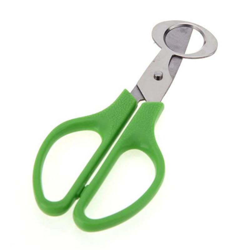 Stainless Steel Quail Egg Cutter Scissors by HitMyNeed
