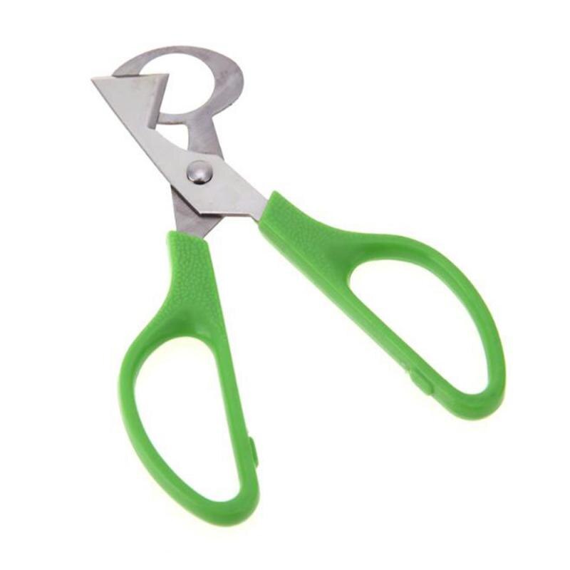Stainless Steel Quail Egg Cutter Scissors by HitMyNeed