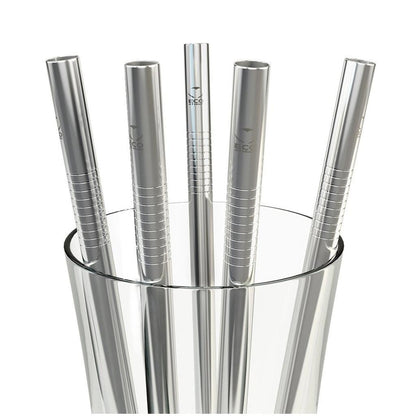 Stainless Steel Reusable Drinking Straws (Set of 4) by HitMyNeed