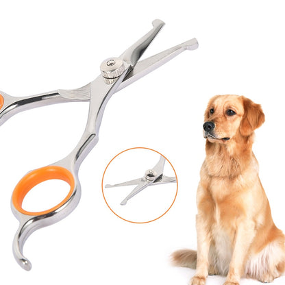 Stainless Steel Safety Pet Grooming Scissors by HitMyNeed