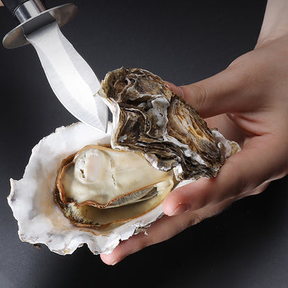 Stainless Steel Scallop and Oyster Knife Opener by HitMyNeed