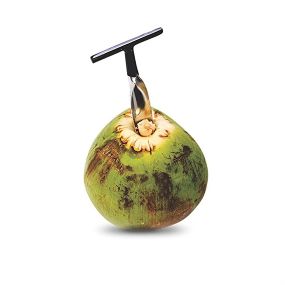 Stainless Steel Screw-In Coconut Driller Tool by HitMyNeed