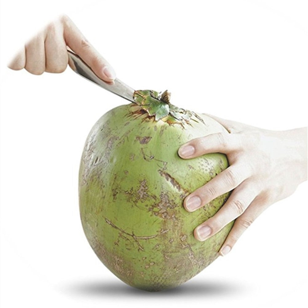 Stainless Steel Screw-In Coconut Driller Tool by HitMyNeed