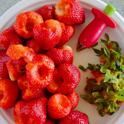 Stainless Steel Strawberry Pitter Tool by HitMyNeed
