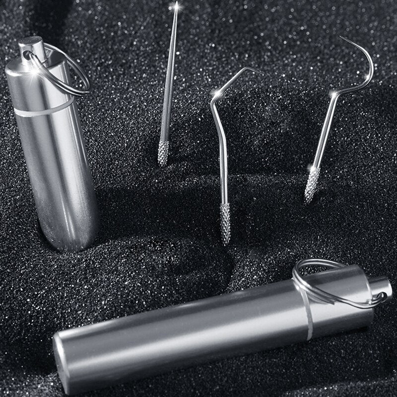 Stainless Steel Toothpicks with Travel Case by HitMyNeed