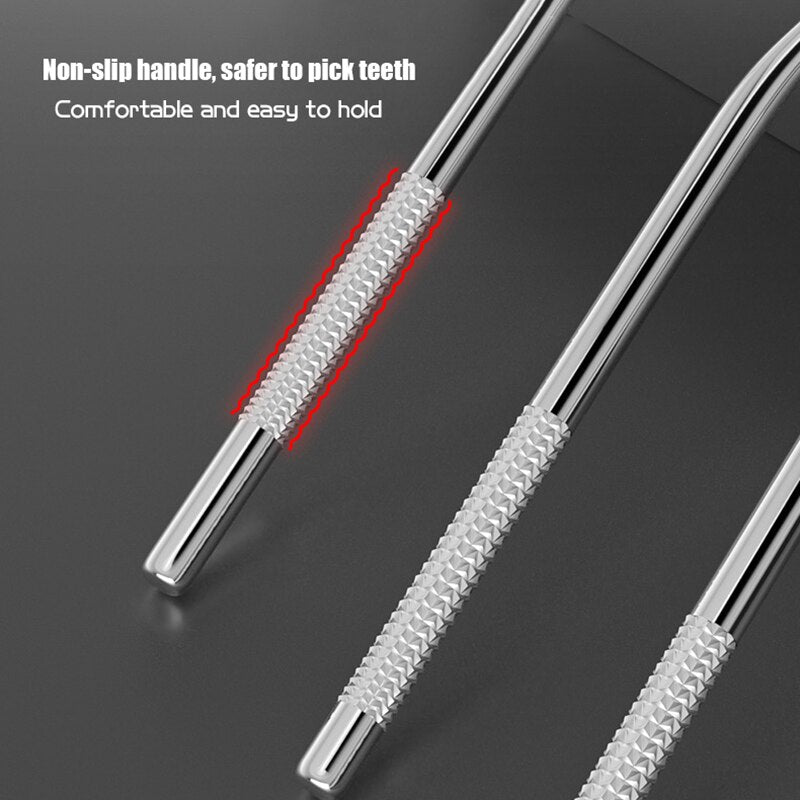 Stainless Steel Toothpicks with Travel Case by HitMyNeed