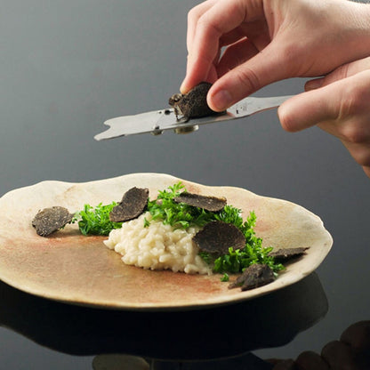 Stainless Steel Truffle Grater with Wooden Handle by HitMyNeed