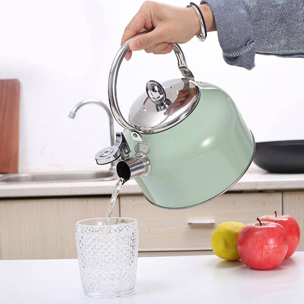 Stainless Steel Whistling Tea Kettle 2.5L by HitMyNeed